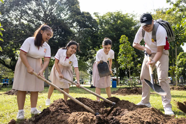 Planting Trees of Harmony